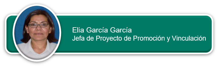 Jefatura de Proyecto de Promoción y Vinculación