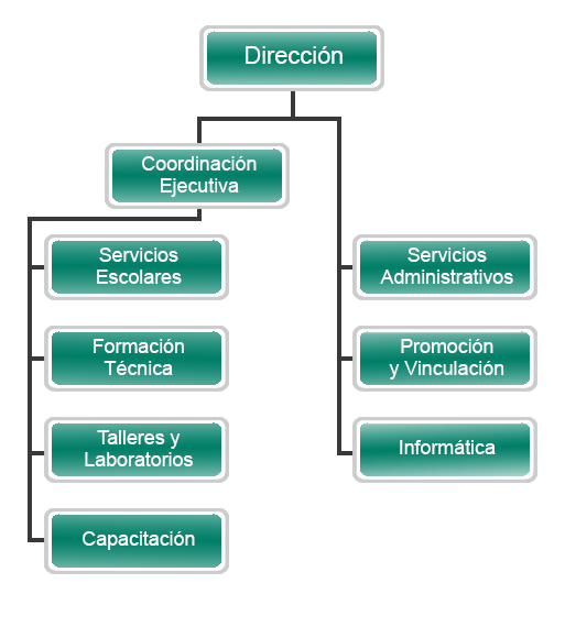 organigrama