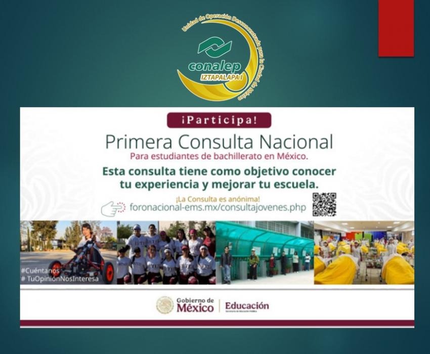 CONSULTA
