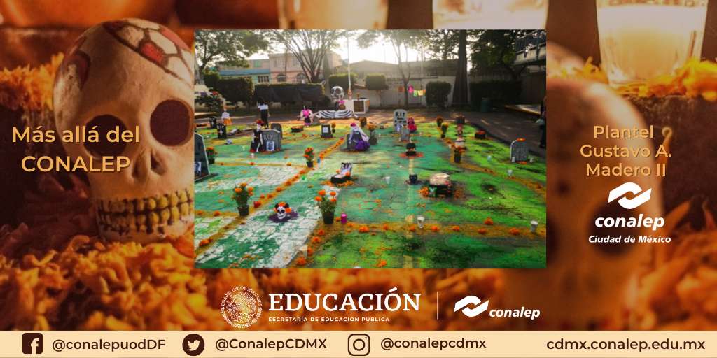 Plantel Gustavo A Madero II 224