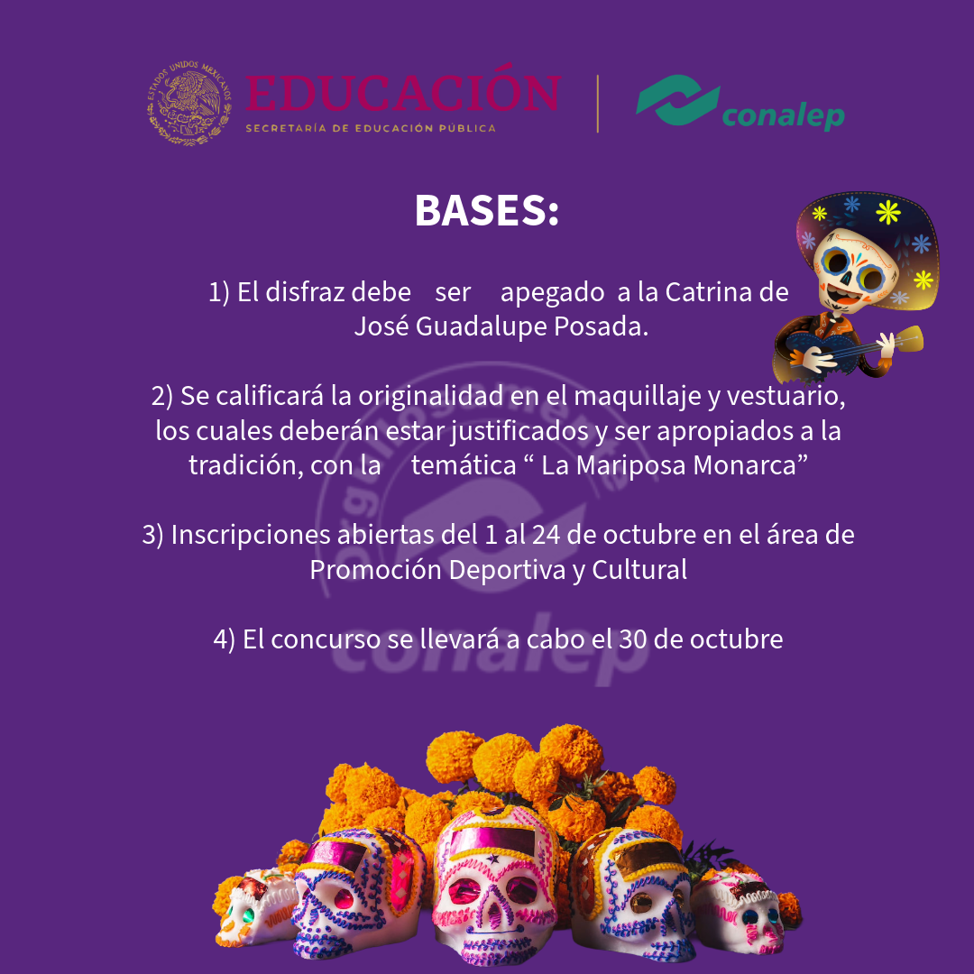 Bases del Concurso