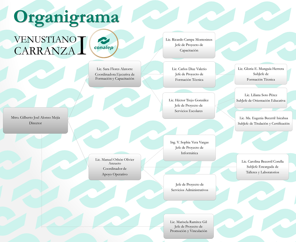 organigrama