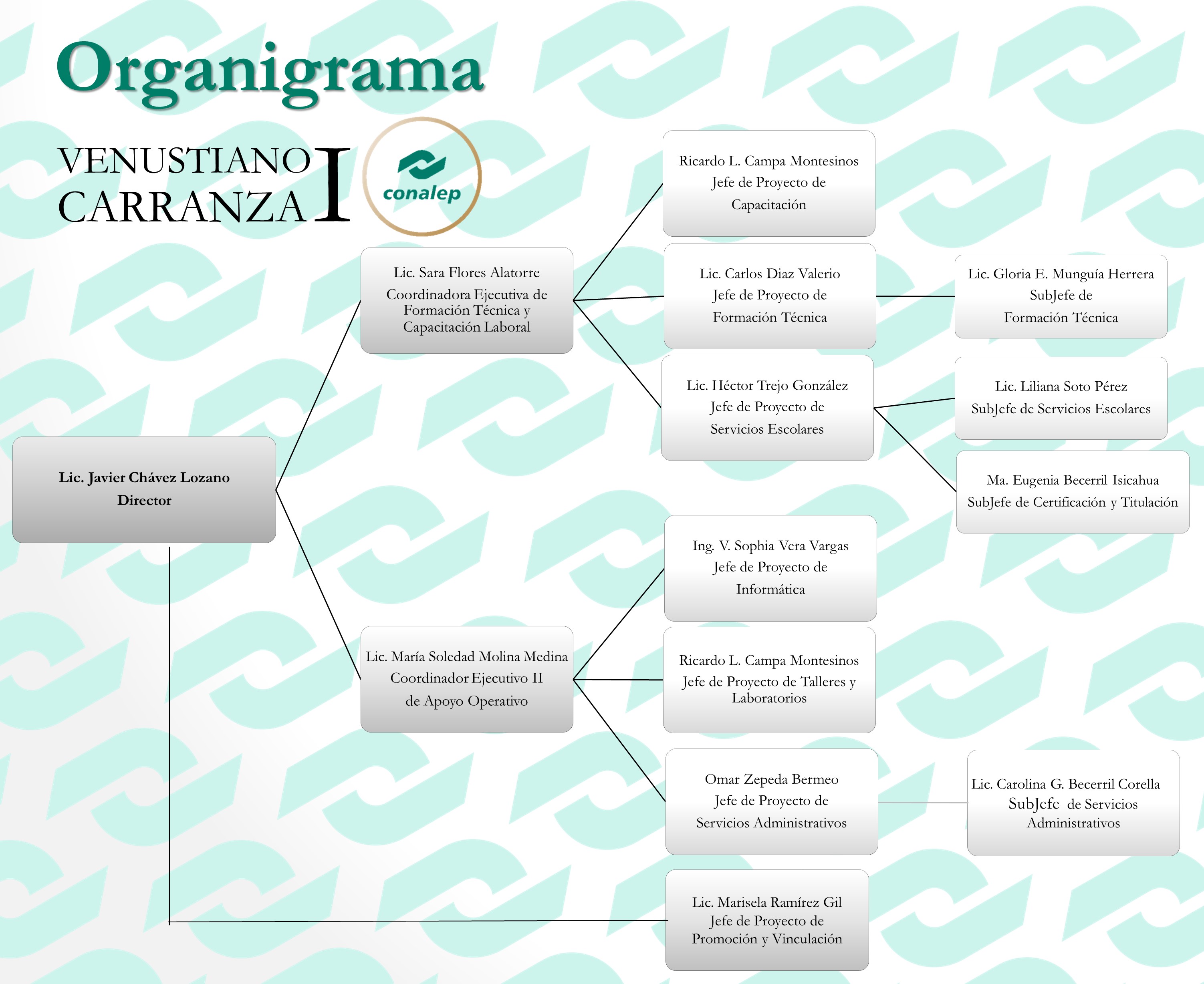 organigrama