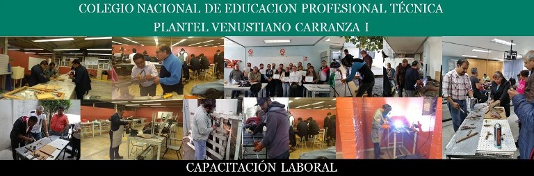 Servicios de Capacitación