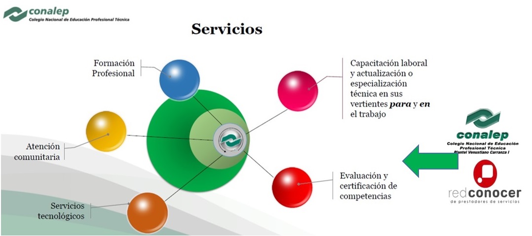 Servicios