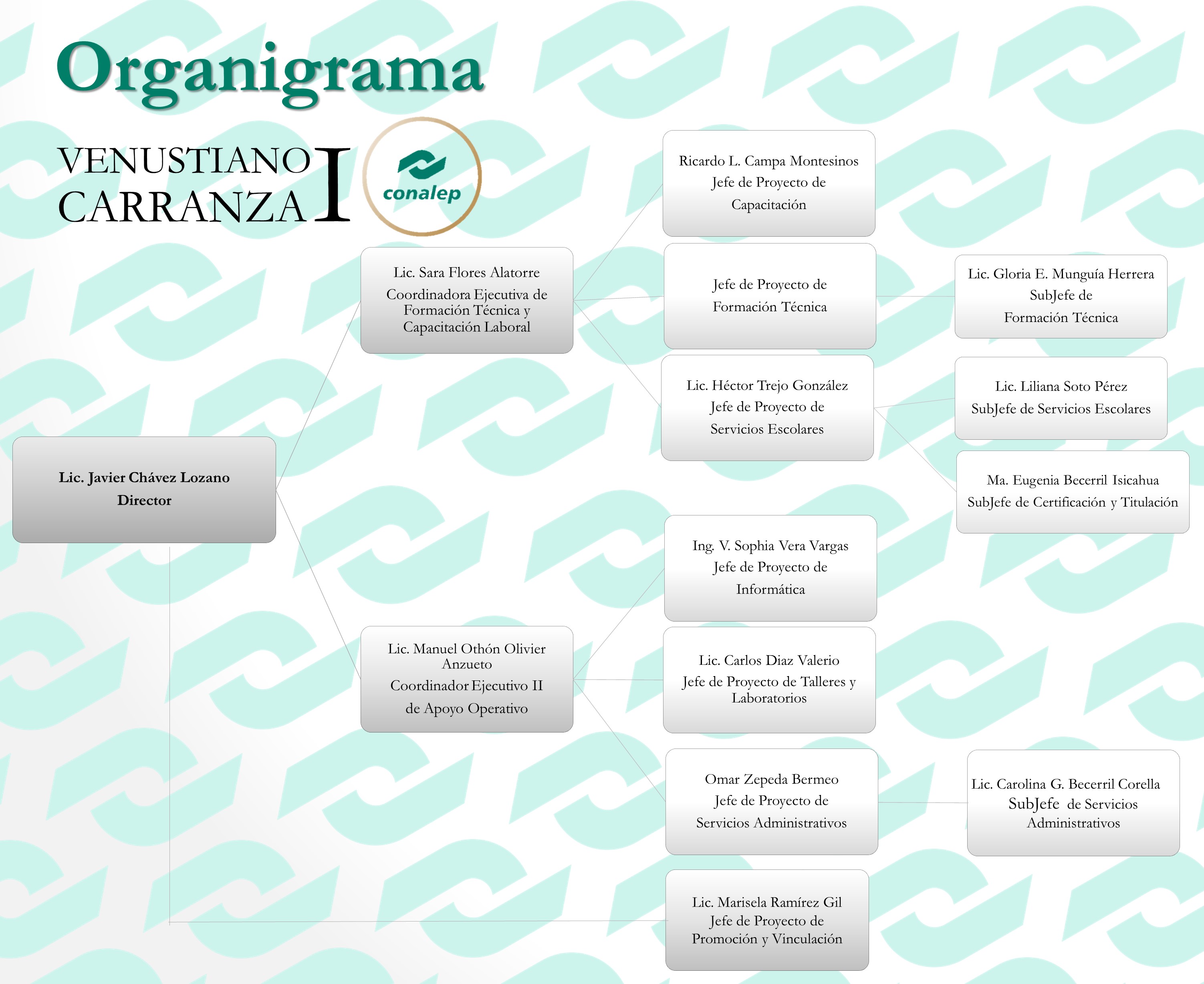 organigrama
